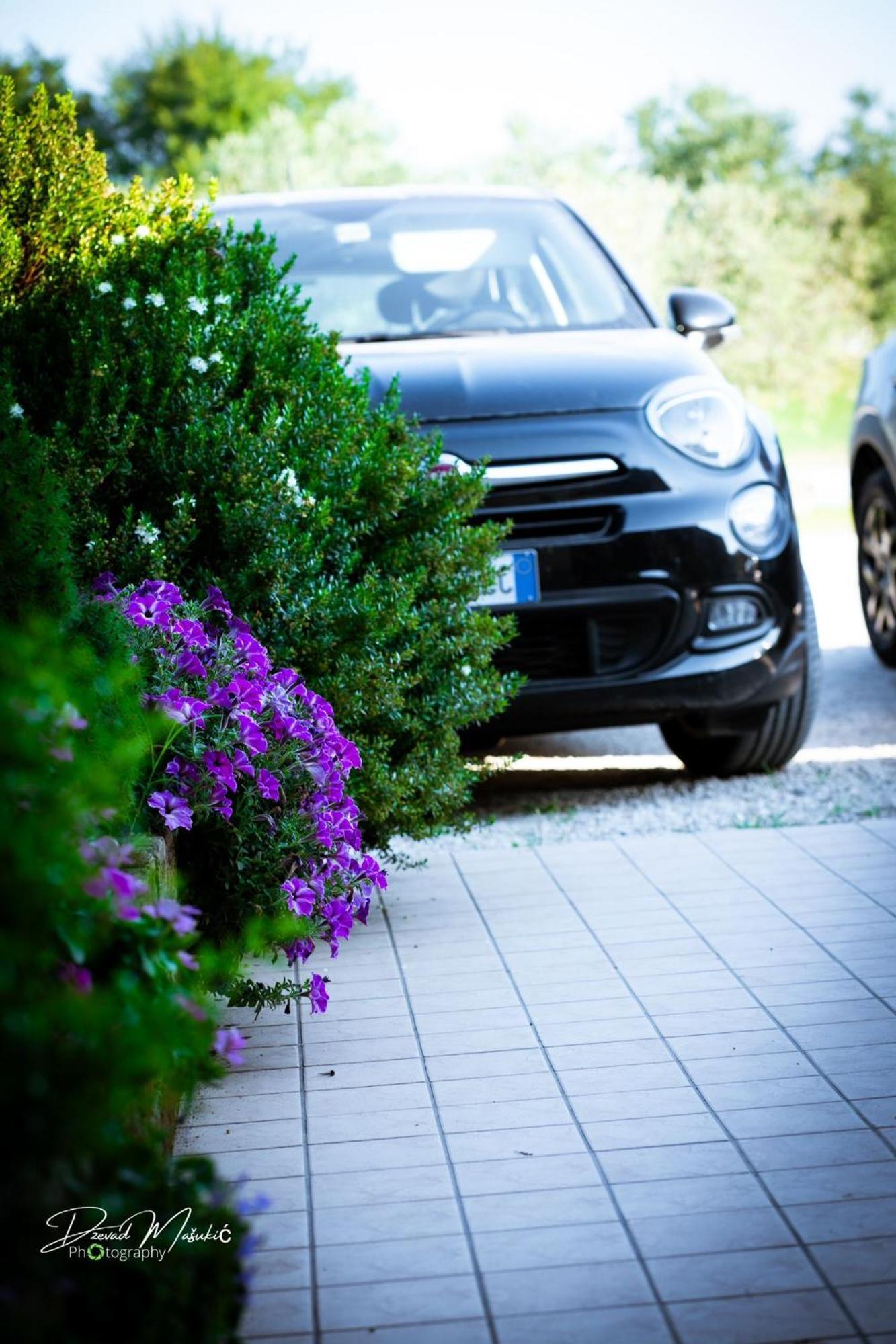 Agriturismo Olistella Palazzolo dello Stella Εξωτερικό φωτογραφία